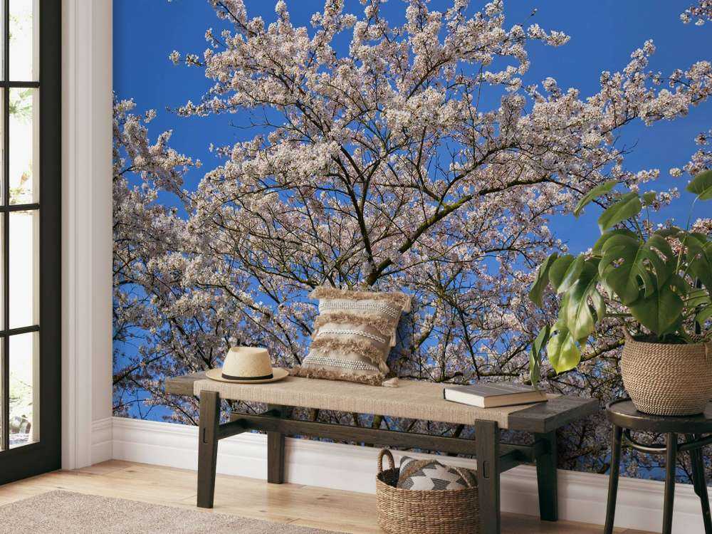 Fleurir avec un ciel bleu