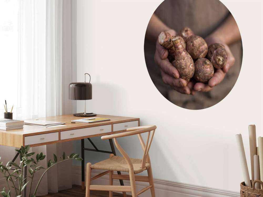 Produits de la terre