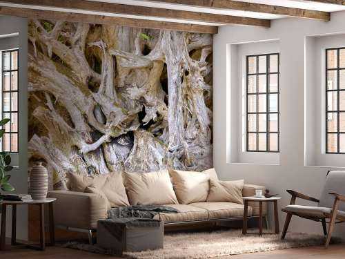 Racines d'arbres