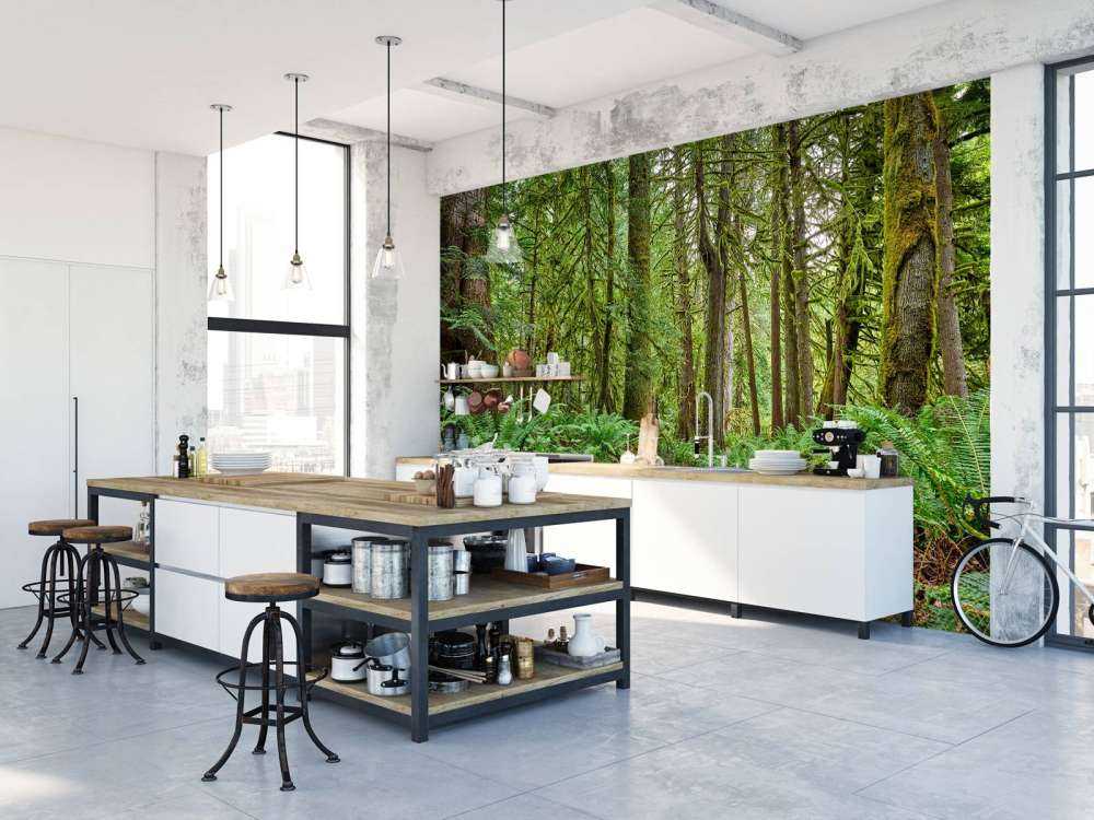 Sentier en pierres à travers la forêt