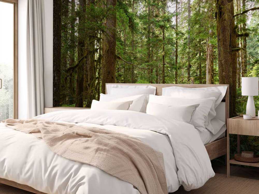 Forêt verte sauvage