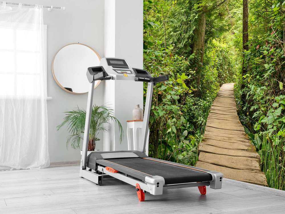 À travers la forêt verte