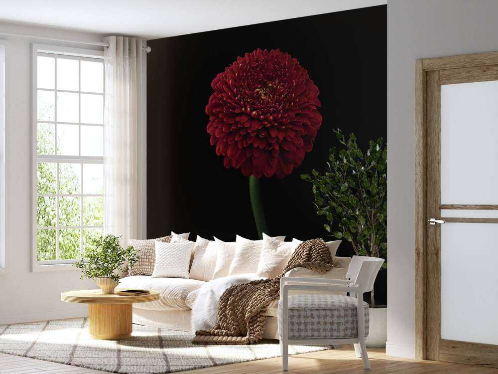 Fleur rouge sur la tige