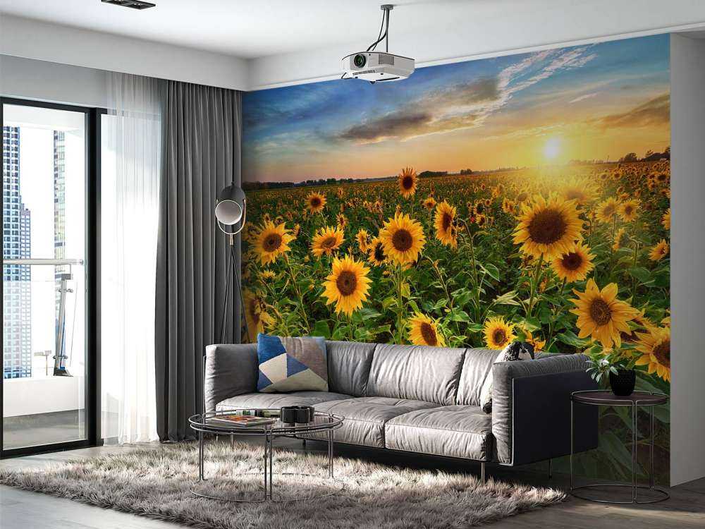 Un beau champ de tournesols