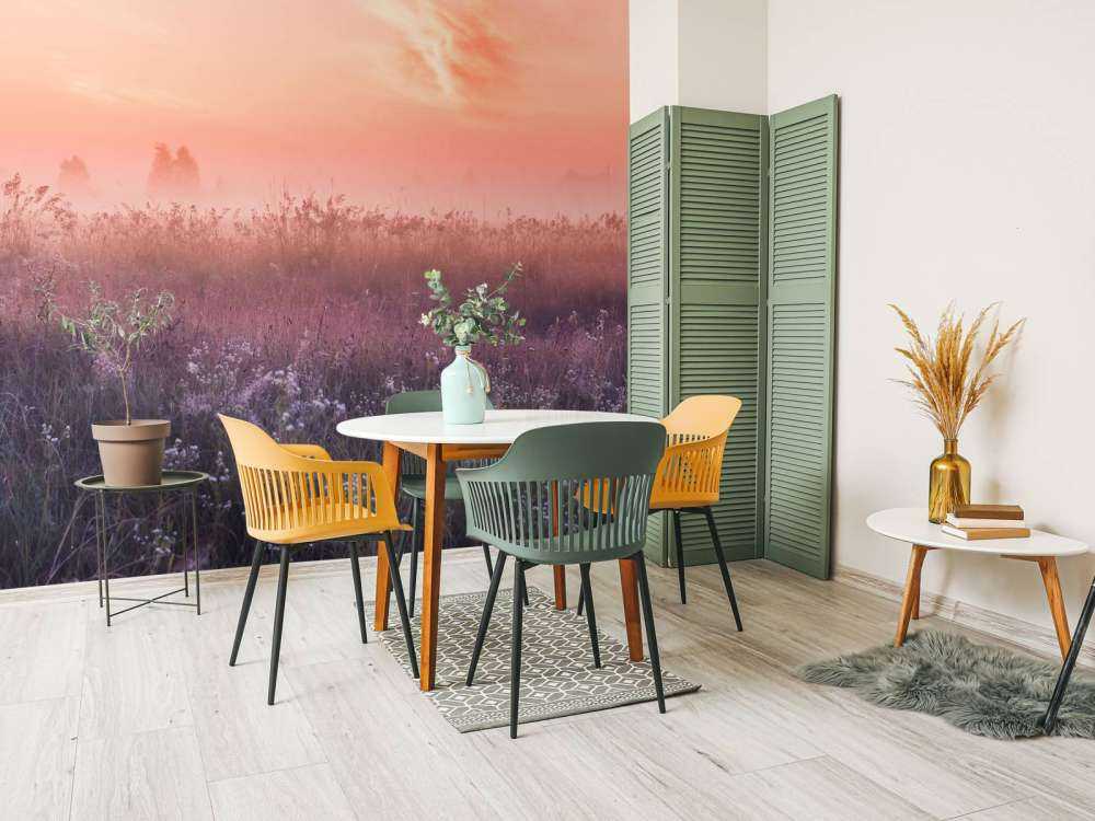 Champ avec brume du matin