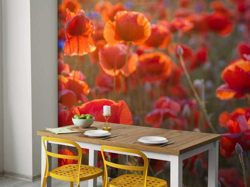 Coquelicots et bleuets