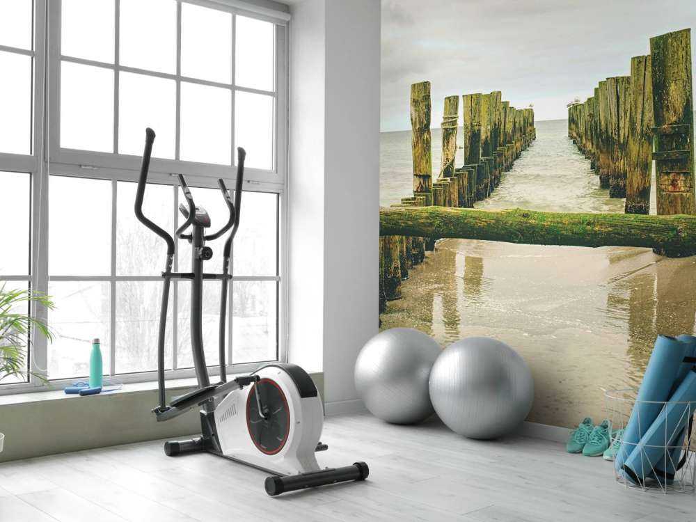 Des têtes de pieux moussues dans l'eau