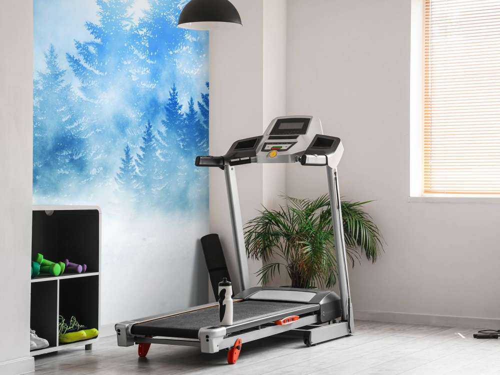 Une forêt sombre et enneigée