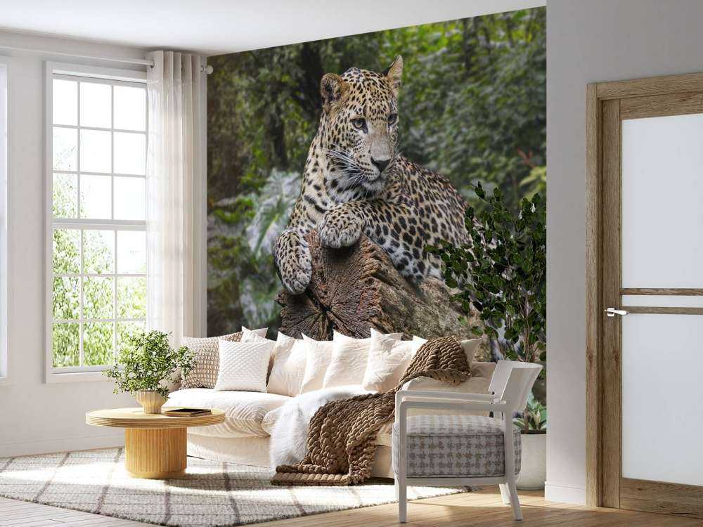 Un léopard sur une branche