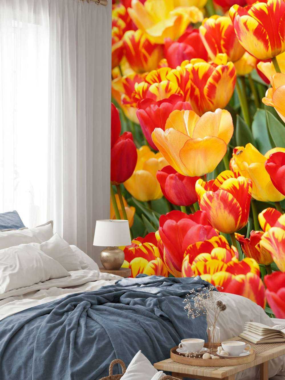 Tulipes colorées