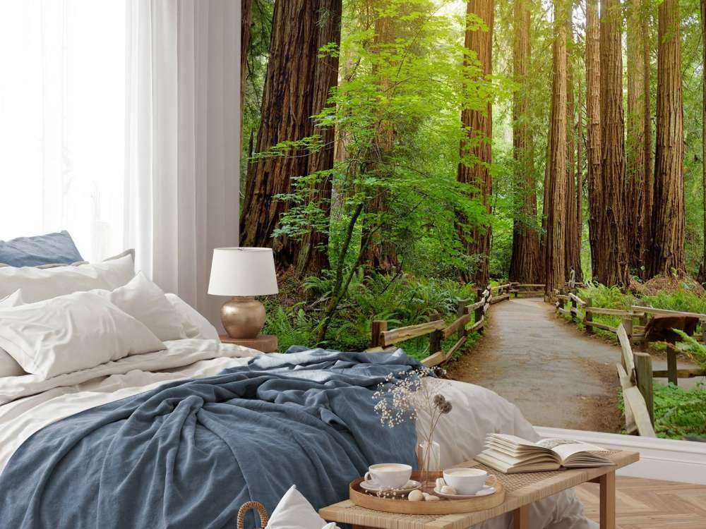 De grands arbres dans un parc