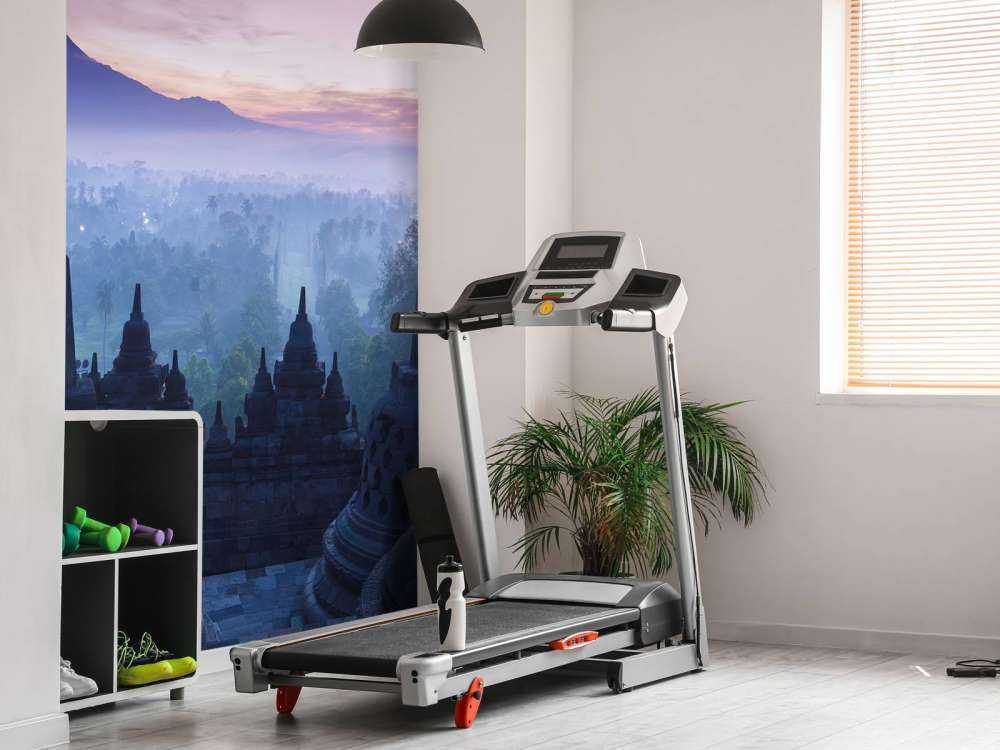 Le temple de Borobudur