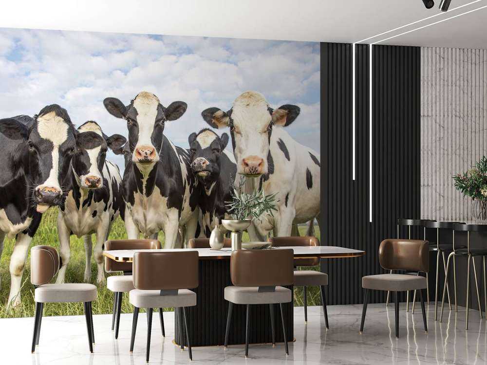 Troupeau de vaches