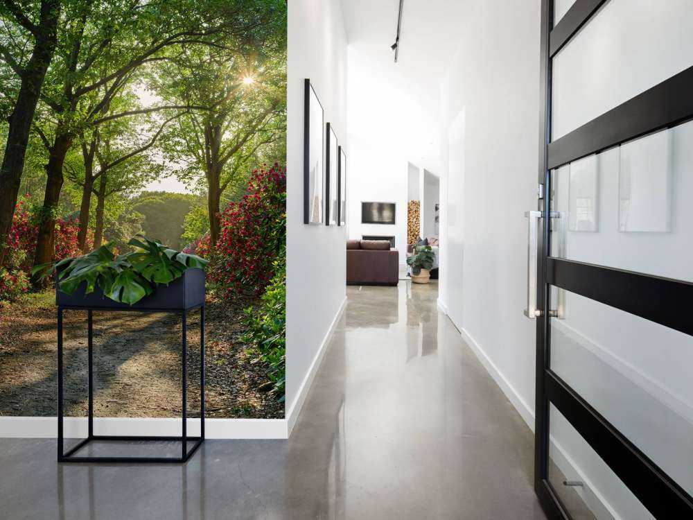 Lever de soleil sur le chemin avec des rhododendrons