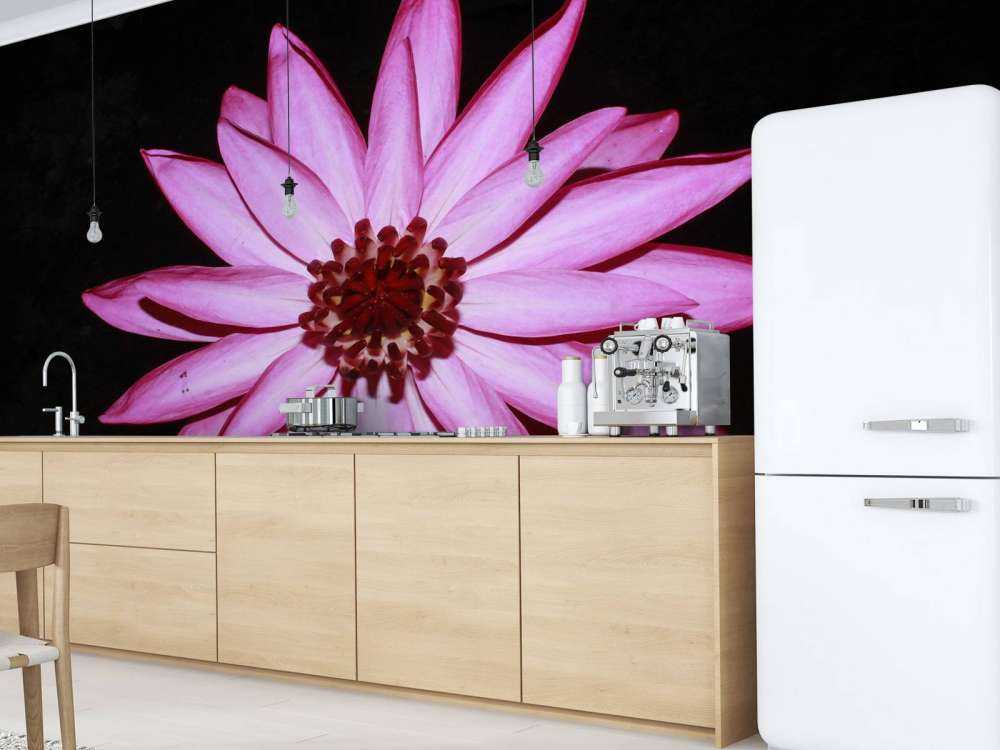 Fleur de lotus vue d'en haut