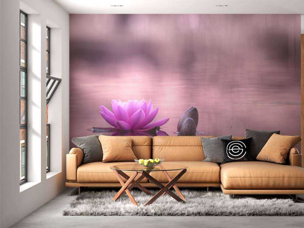 Fleur de lotus dans un étang