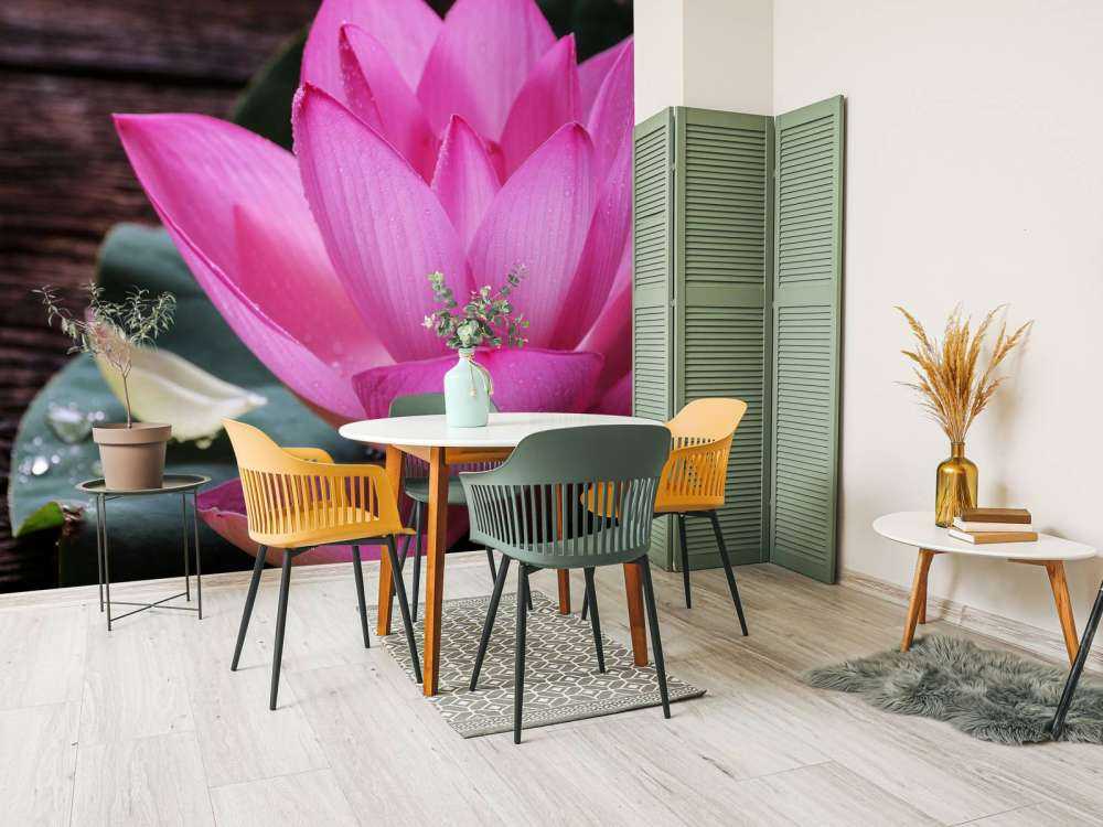 Gros plan sur le lotus rose