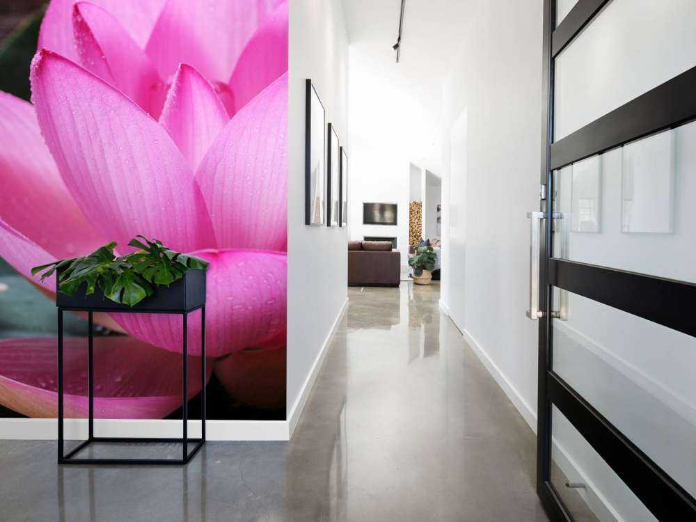 Gros plan sur le lotus rose