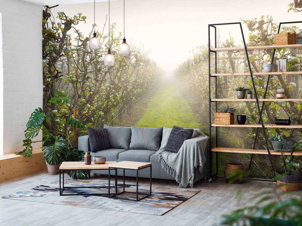 Fleur de poirier dans la brume