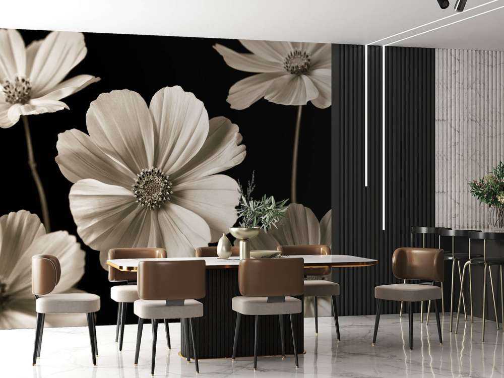 Plusieurs fleurs de cosmos