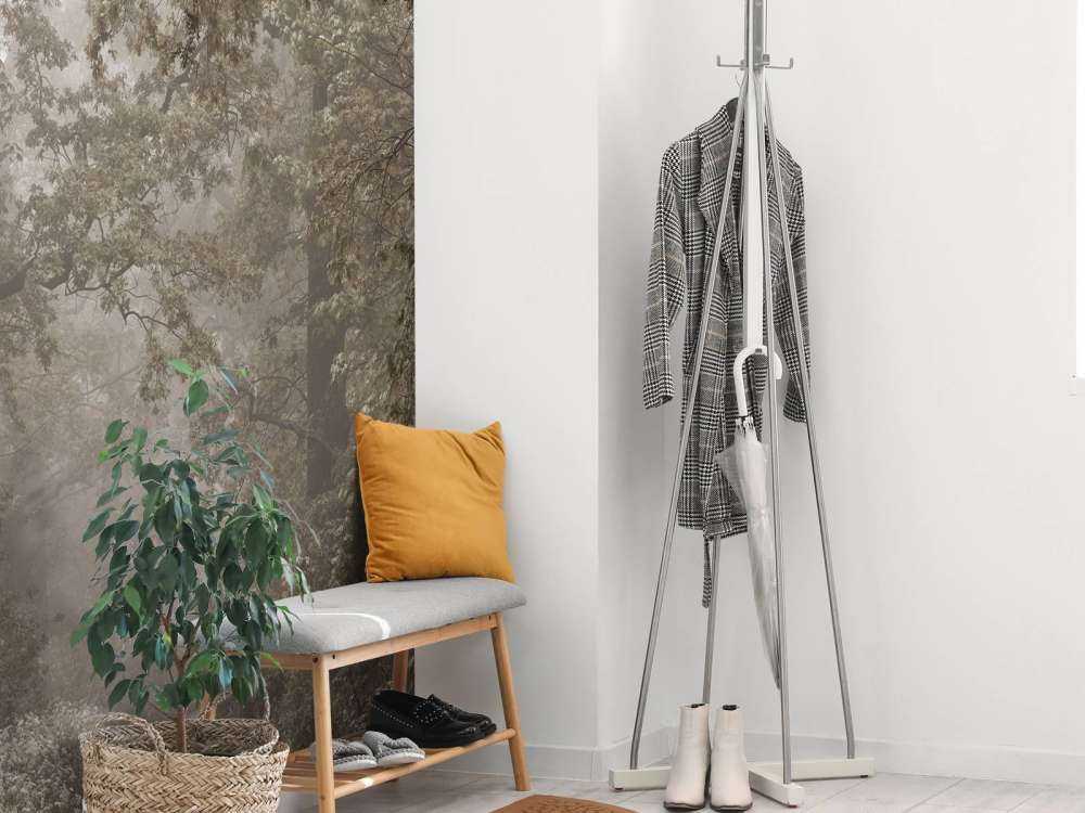 Chemin à travers la forêt brumeuse