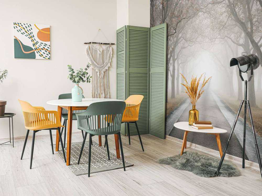 Route avec de vieux arbres