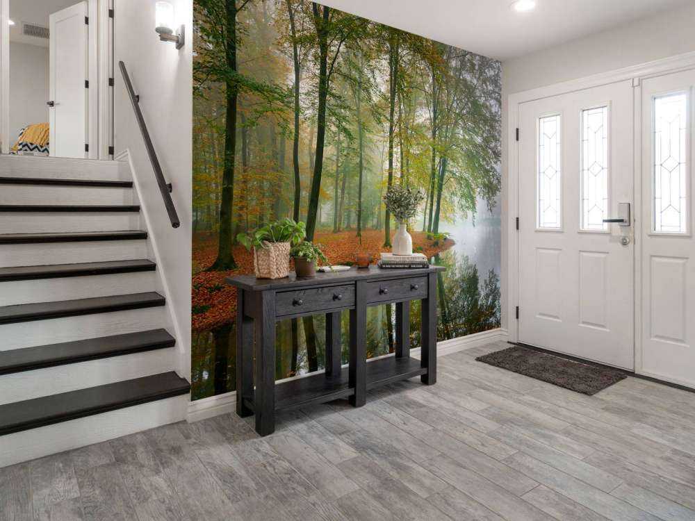 Réflexion d'arbres dans un étang