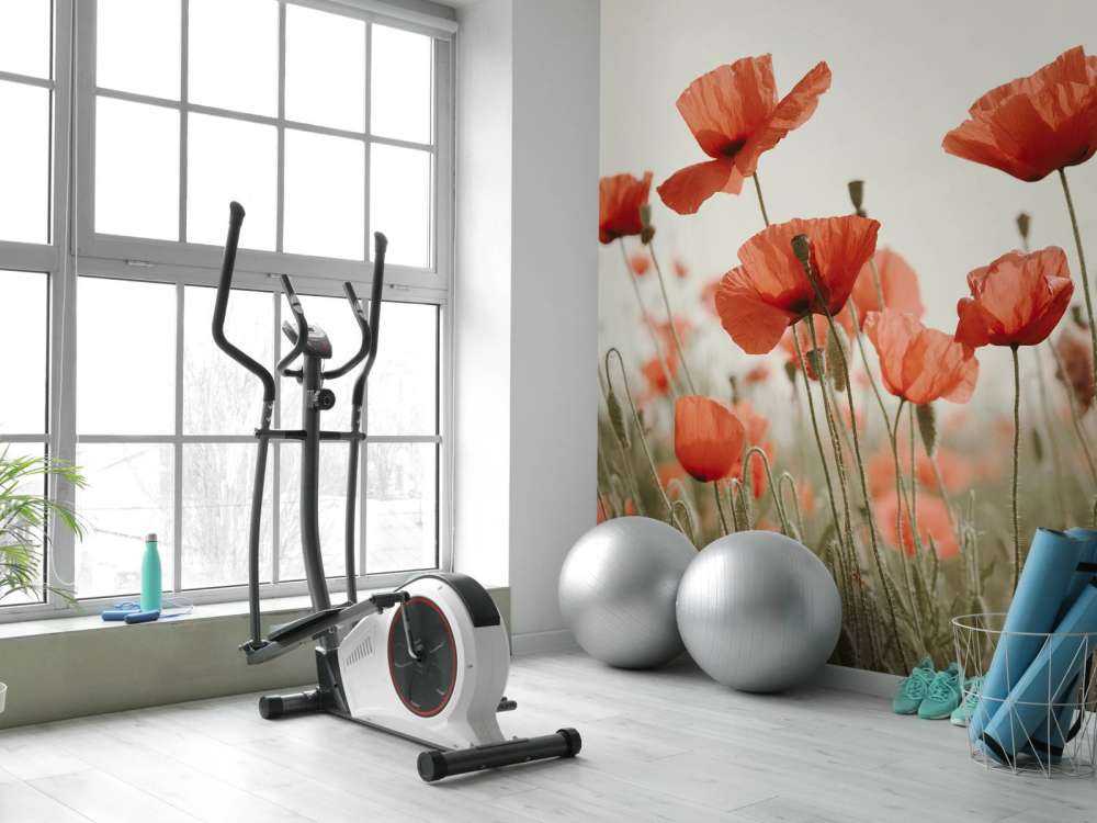 Coquelicots aux couleurs vintage