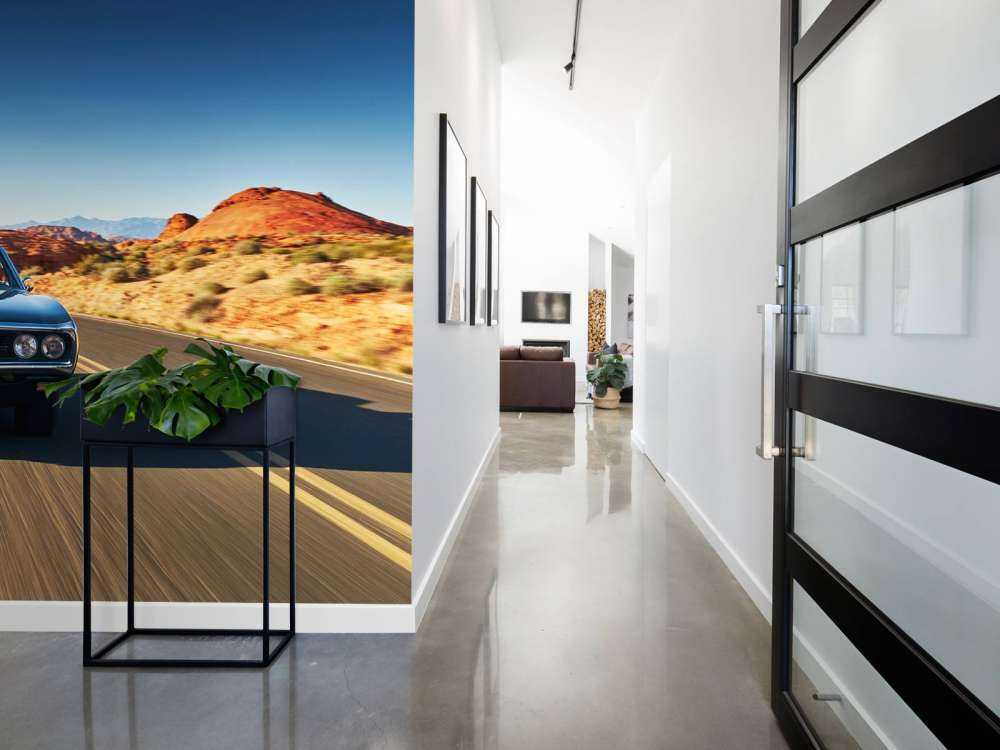 Voiture muscle dans un paysage américain