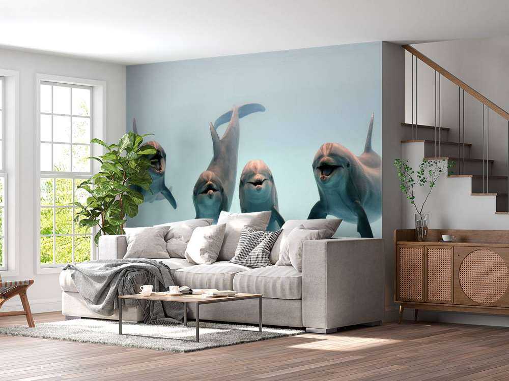 Dauphins rieurs