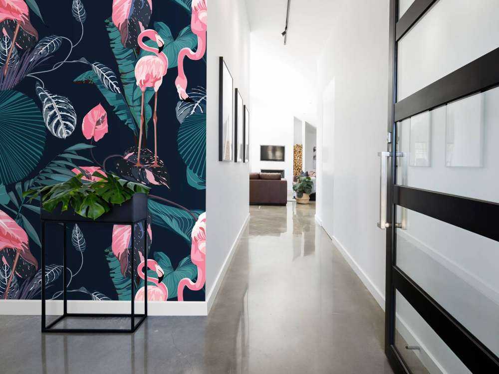 Flamants roses sauvages