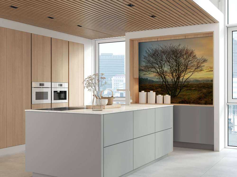 Lever de soleil sur la lande