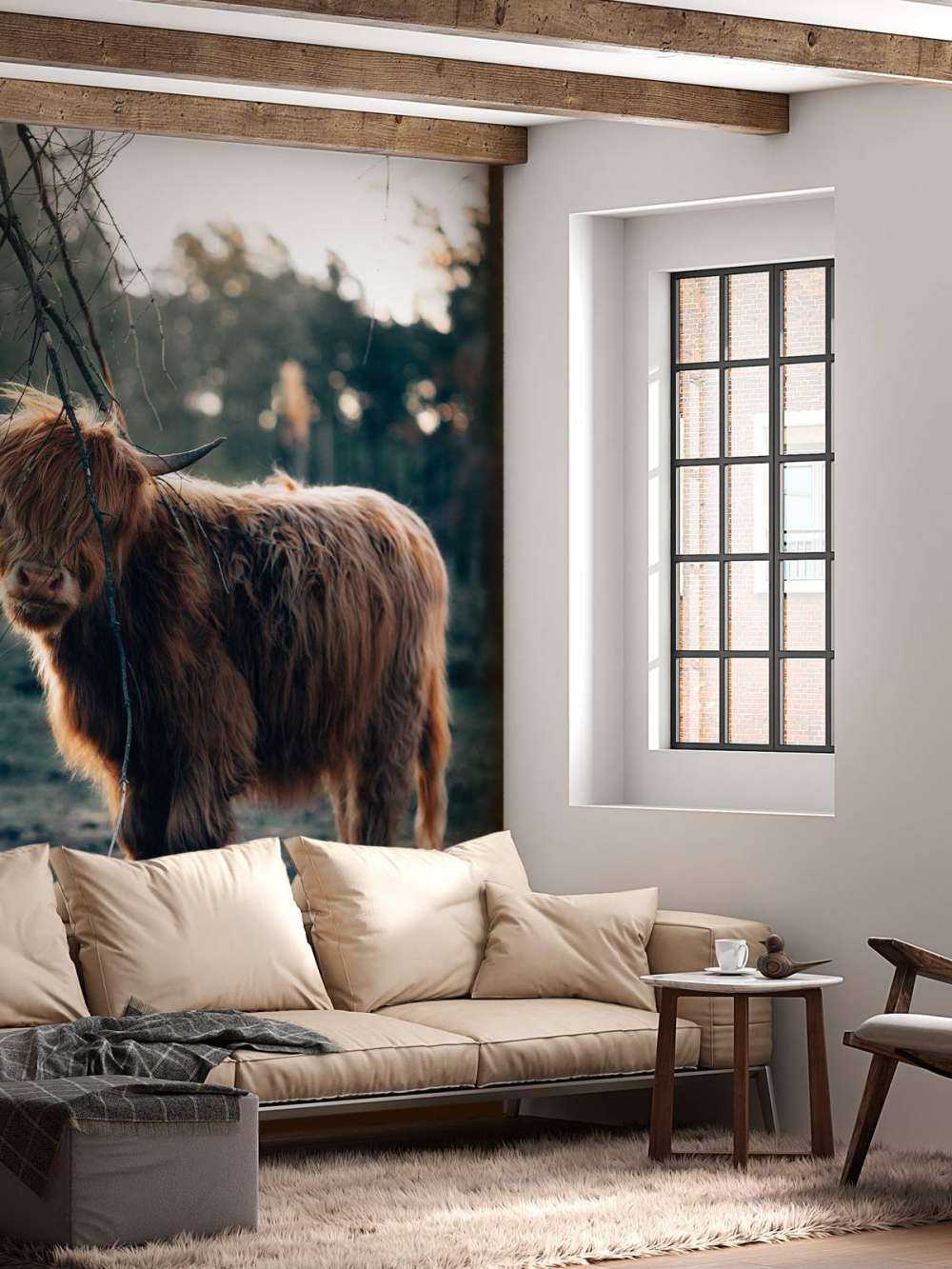 Highlander écossais à l'orée des bois