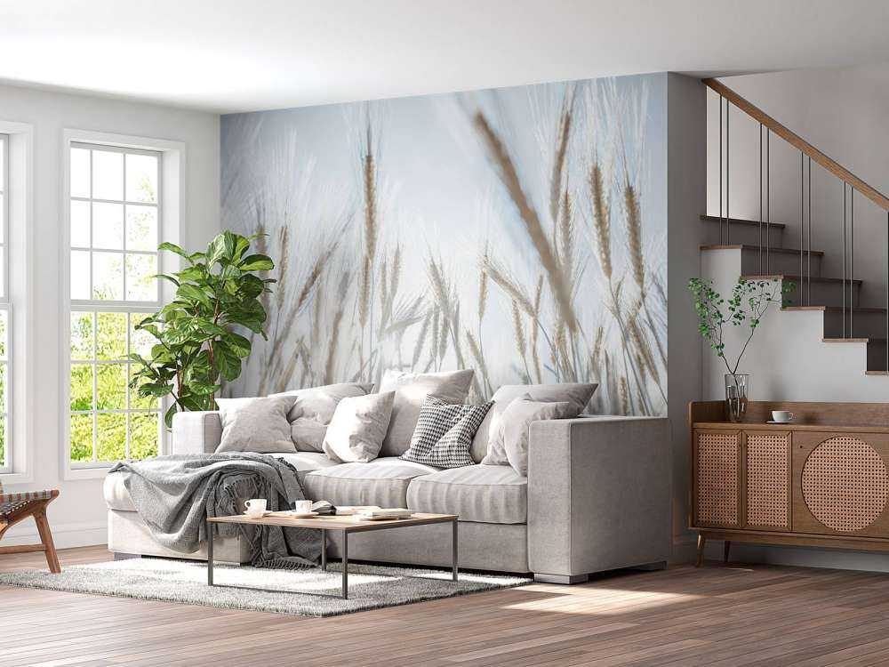 Des rayons de soleil à travers le blé