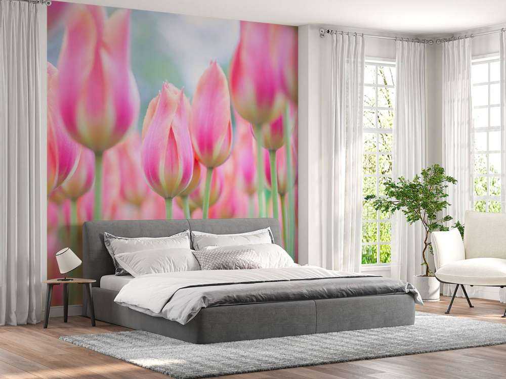 Gros plan sur des tulipes roses