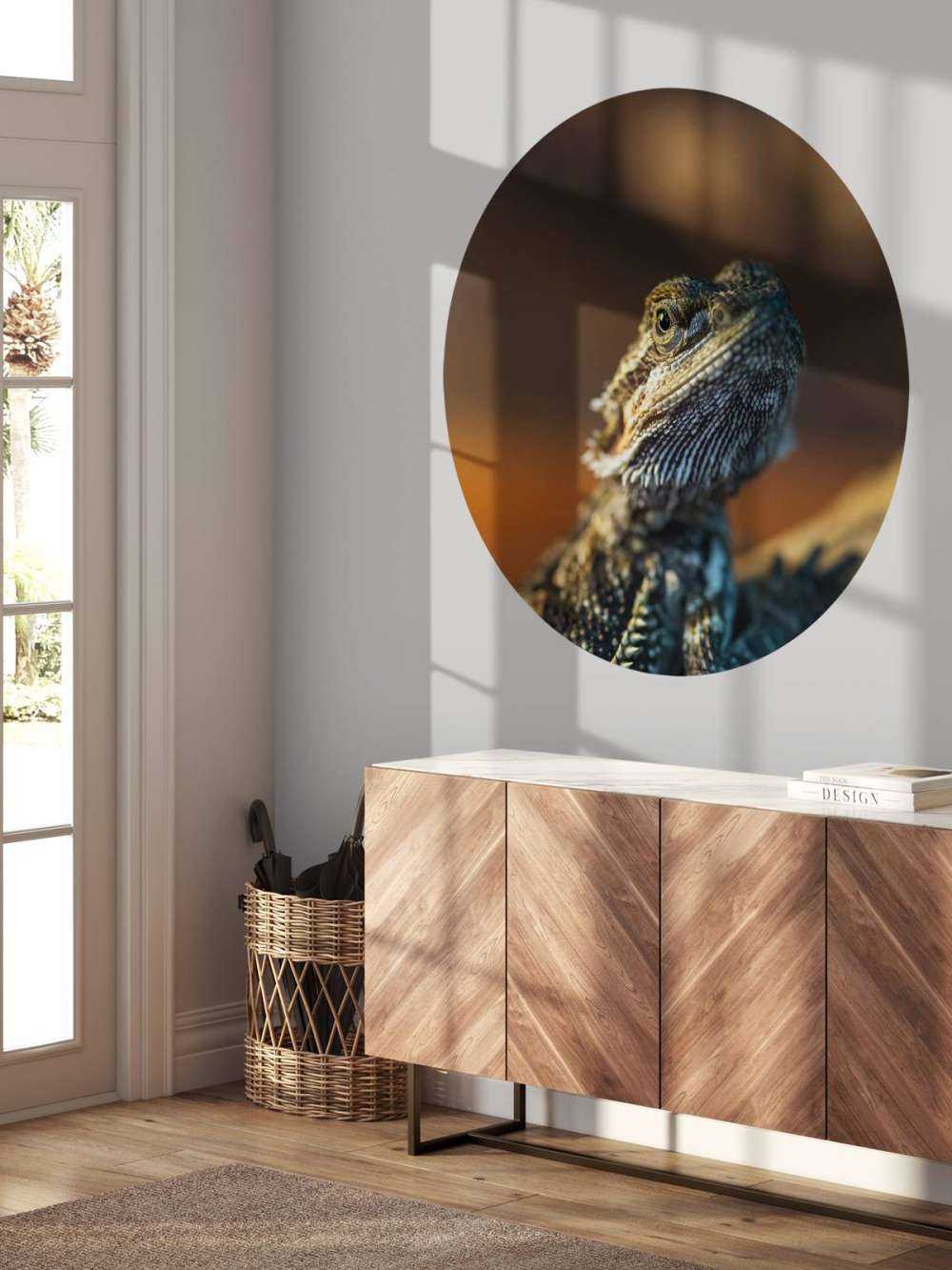 Gros plan d'un caméléon