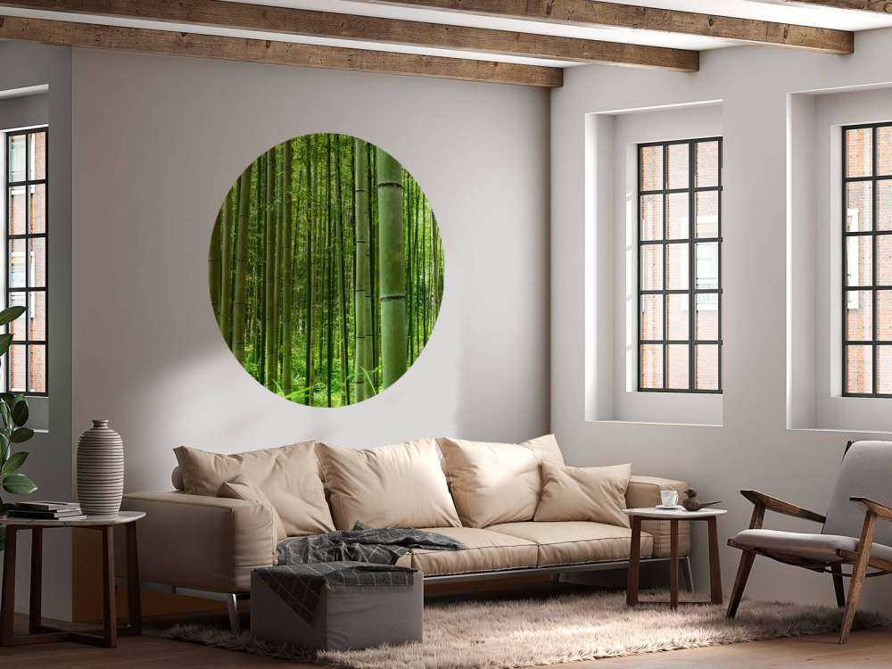 Au milieu de la forêt de bambous