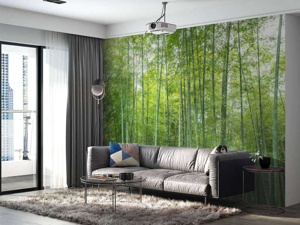 Forêt de bambous verts