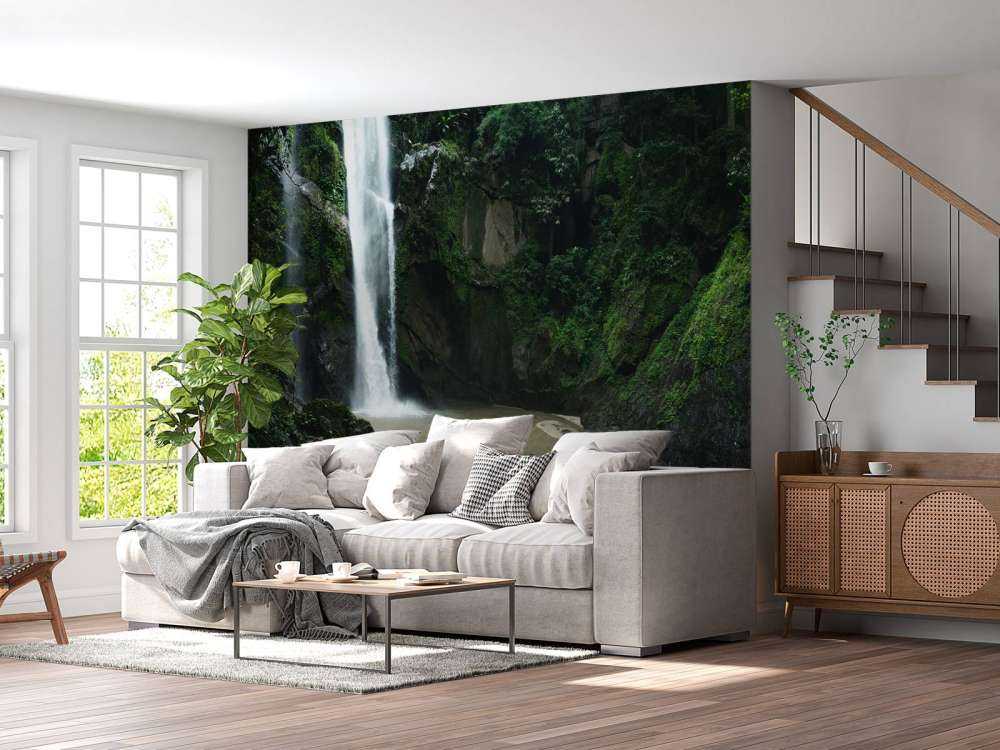 Chute d'eau dans une forêt profonde