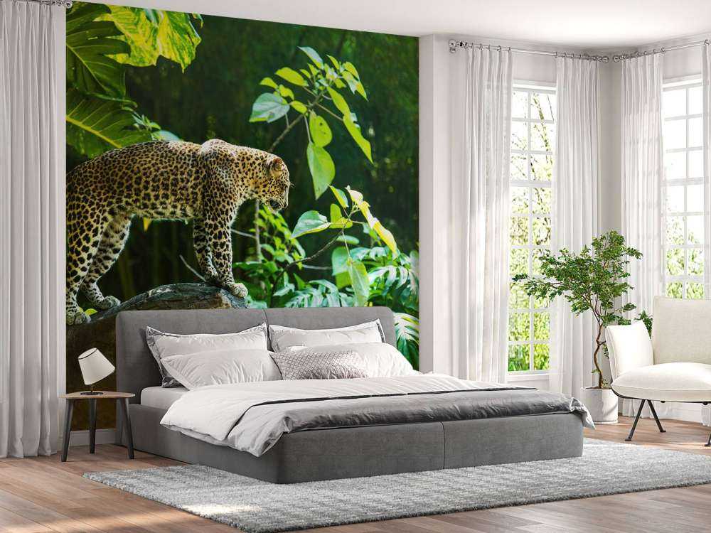 Léopard sur un rocher