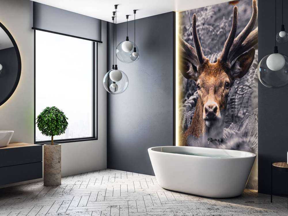 Gros plan sur un cerf