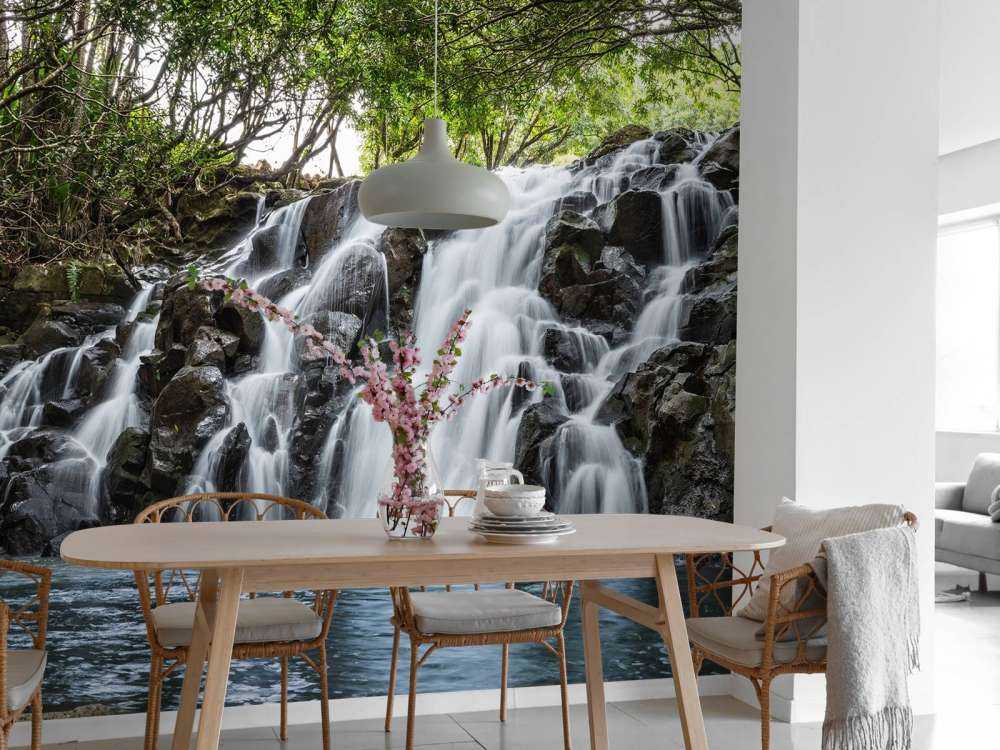 Chute d'eau à l'île Maurice