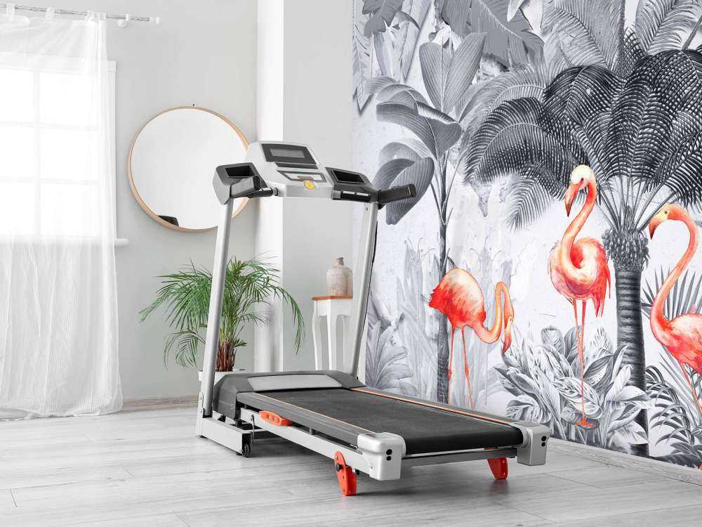 Jungle avec flamants roses