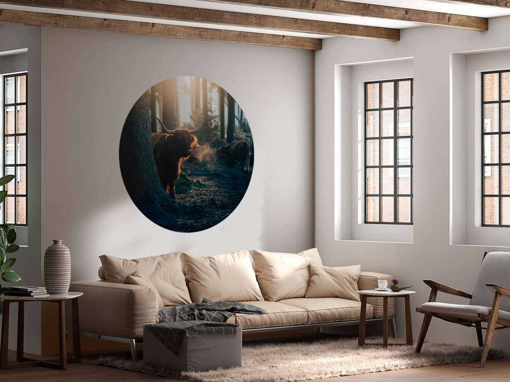 Le Highlander écossais au lever du soleil