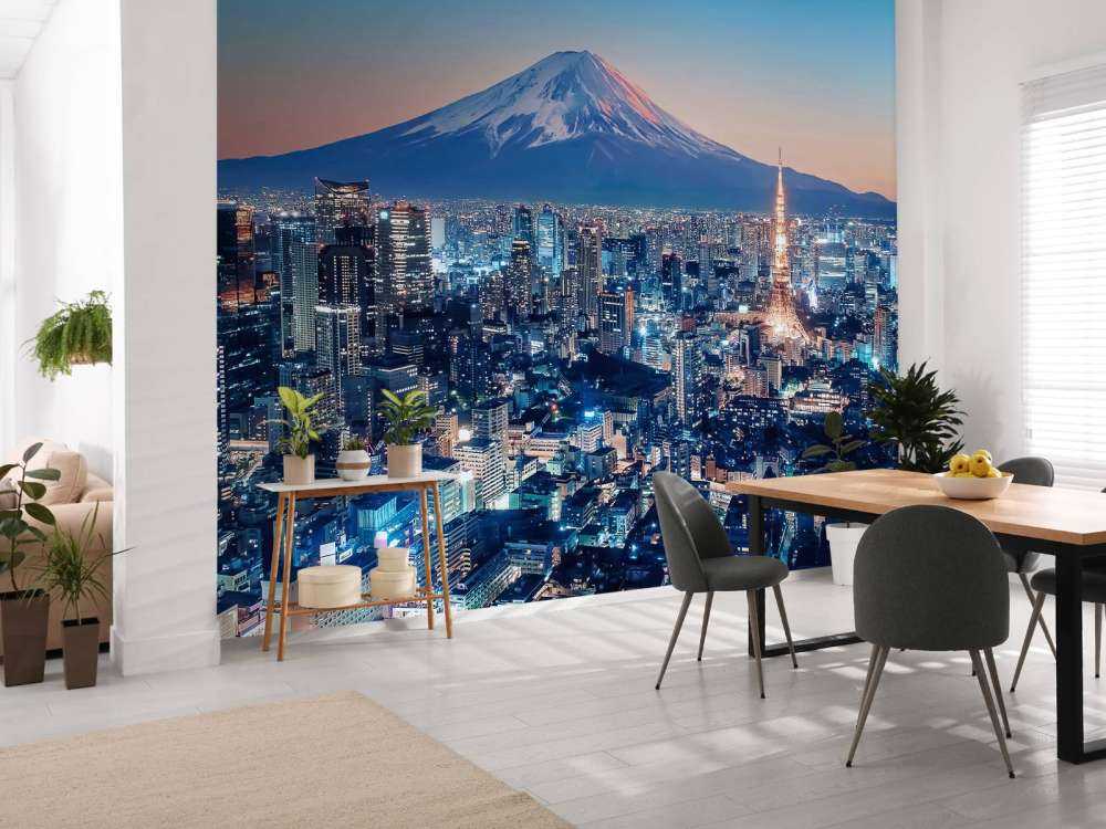 Tokyo au coucher du soleil