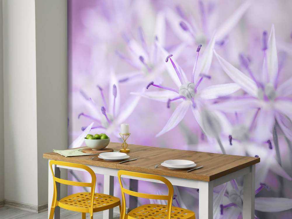 Fleurs d'allium en gros plan