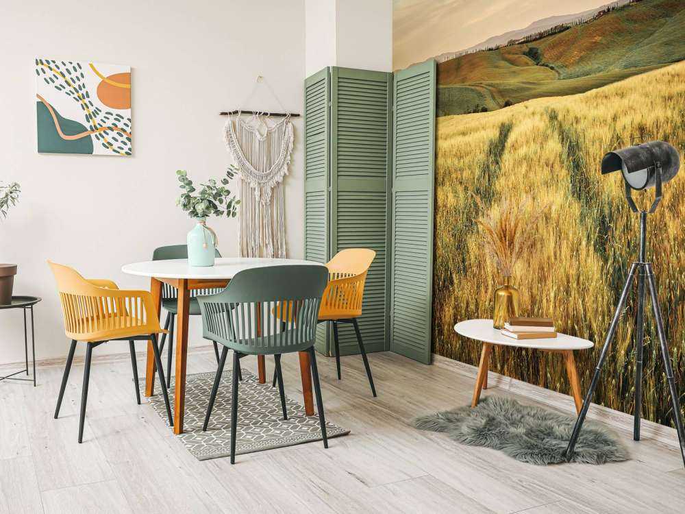 Champ de céréales avec traces