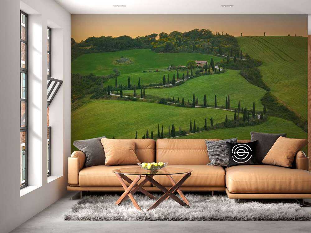 Route sinueuse avec des cyprès