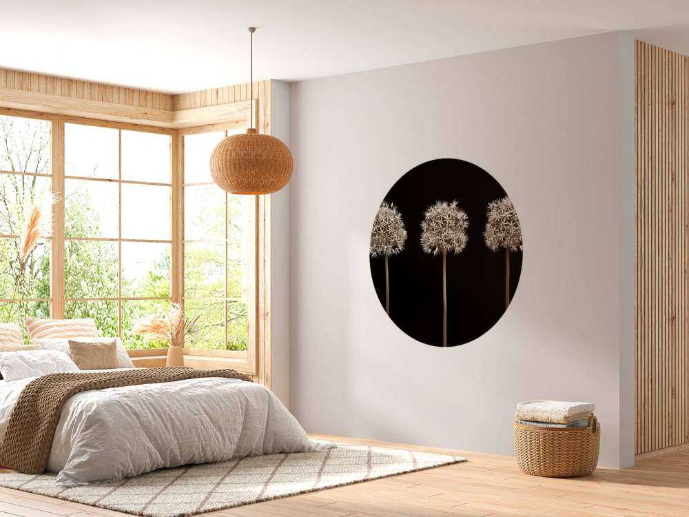 Trois fleurs d'allium en ligne