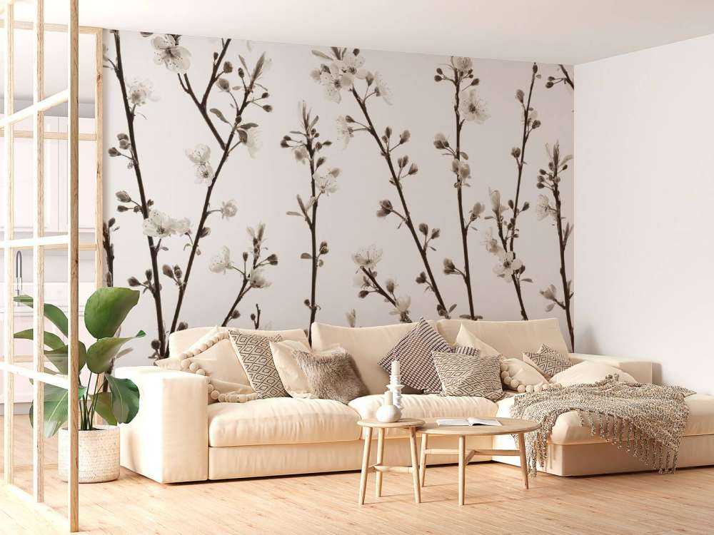 Branches de fleurs de cerisier